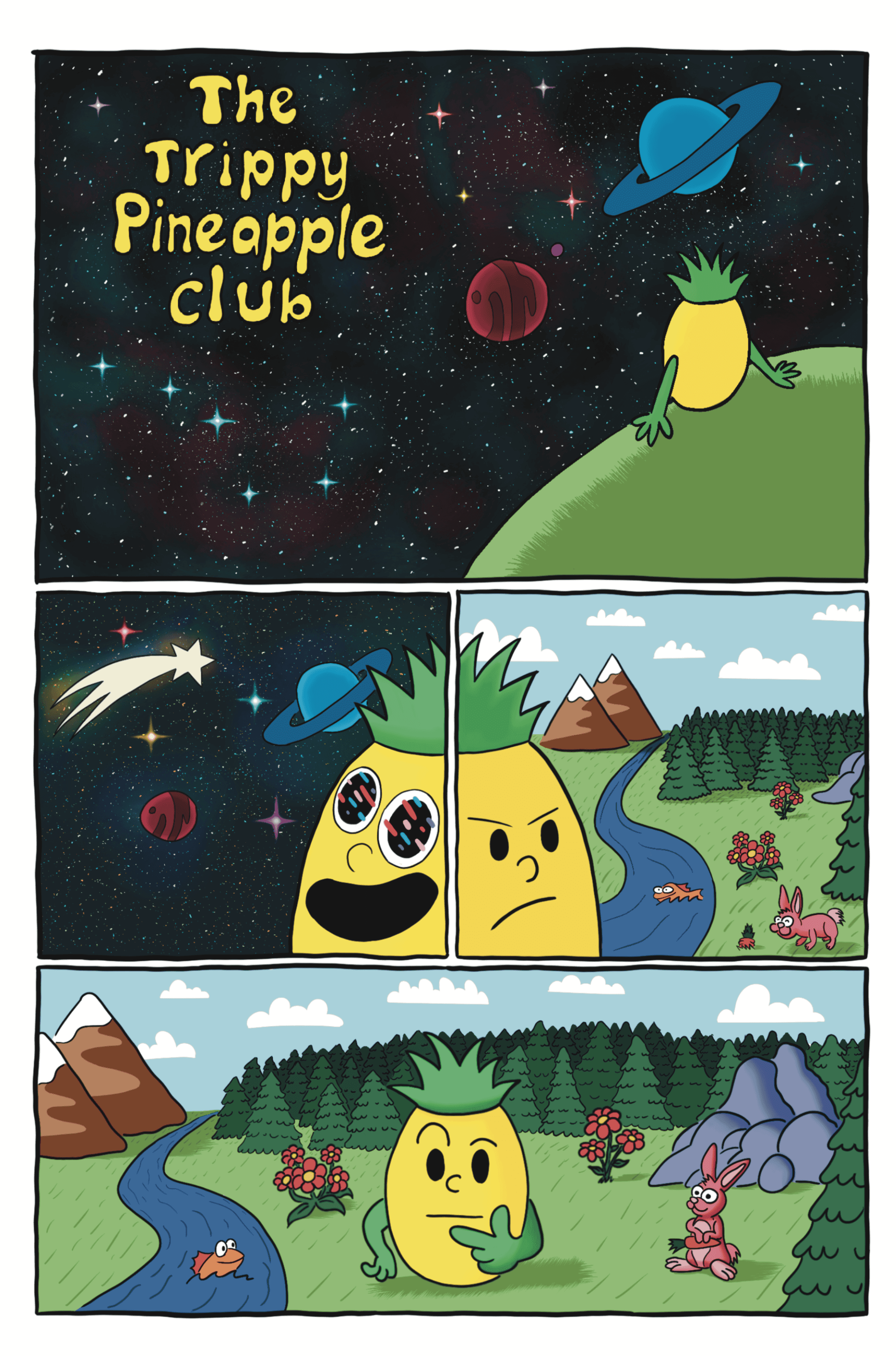 Cover of Pineapple Goes to Space